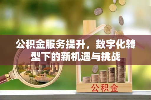 蒙城公积金服务提升，数字化转型下的新机遇与挑战
