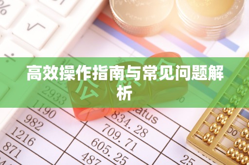 蒙城高效操作指南与常见问题解析