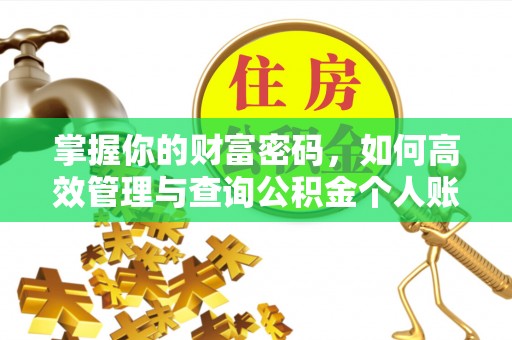 蒙城掌握你的财富密码，如何高效管理与查询公积金个人账户信息